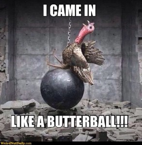 best-thanksgiving-memes